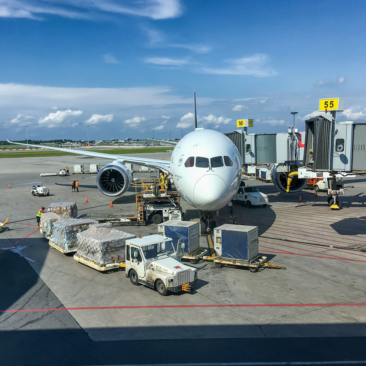 Why Operational Training Matters for Cargo Reliability